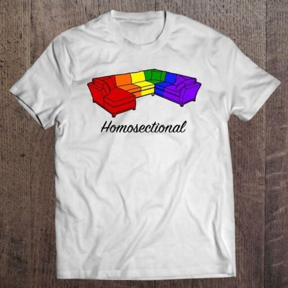 Homosectional Gay Pride Rainbow Funny Shirt, Pride Month Shirt - Picture 1 of 3